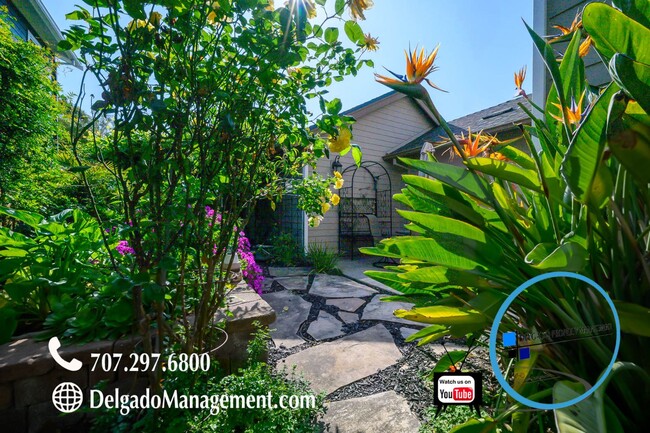 Building Photo - Mare Island! Large gorgeous home available...