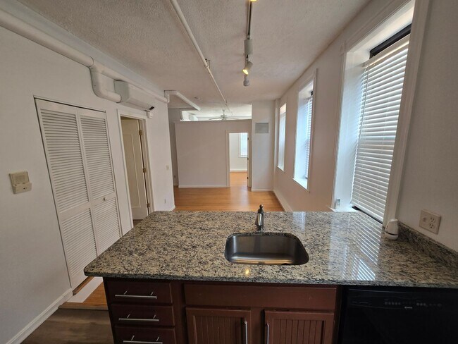 Building Photo - Beautiful and Spacious 1 Bedroom Apartment DOWNTOWN! MUST SEE!