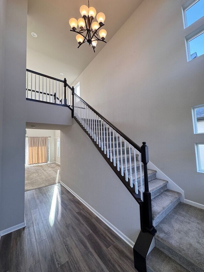 Foto del edificio - Newer Gorgeous home in Timnath