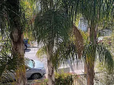 Foto del edificio - 1631 1/2 Morton Ave
