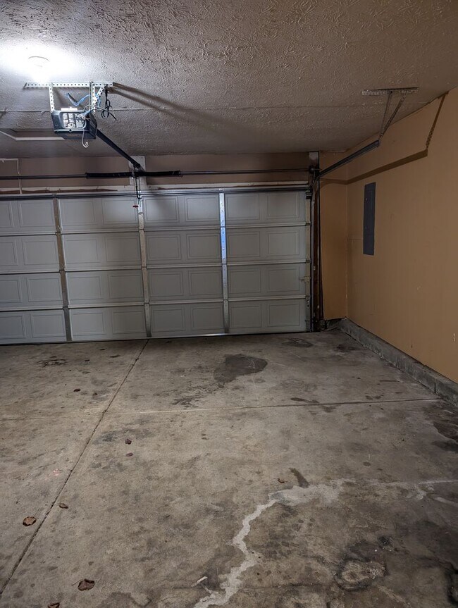 Foto del edificio - 3026 Percheron Ln