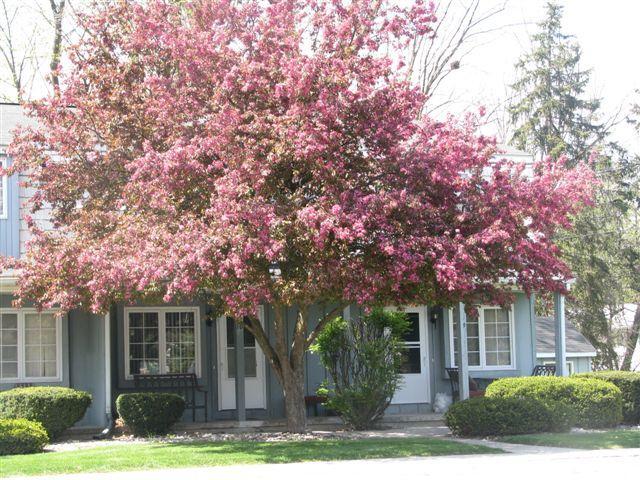 Primary Photo - Sandridge Townhomes & Apartments