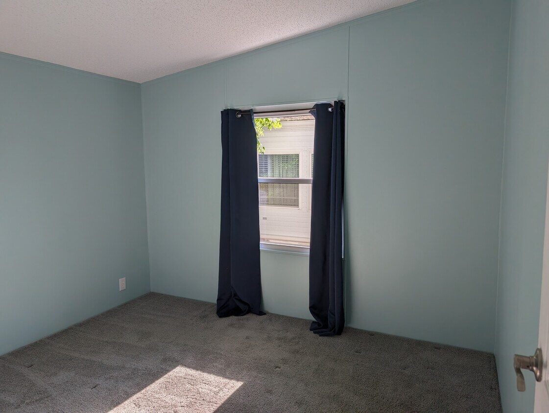 Foto del edificio - 3117 Tree Frog Ln