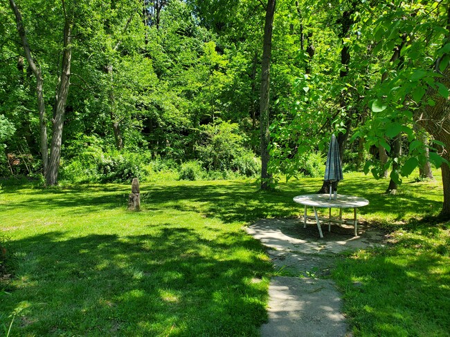 View of Back Yard from Kitchen Door Walkway - 431 Church Rd