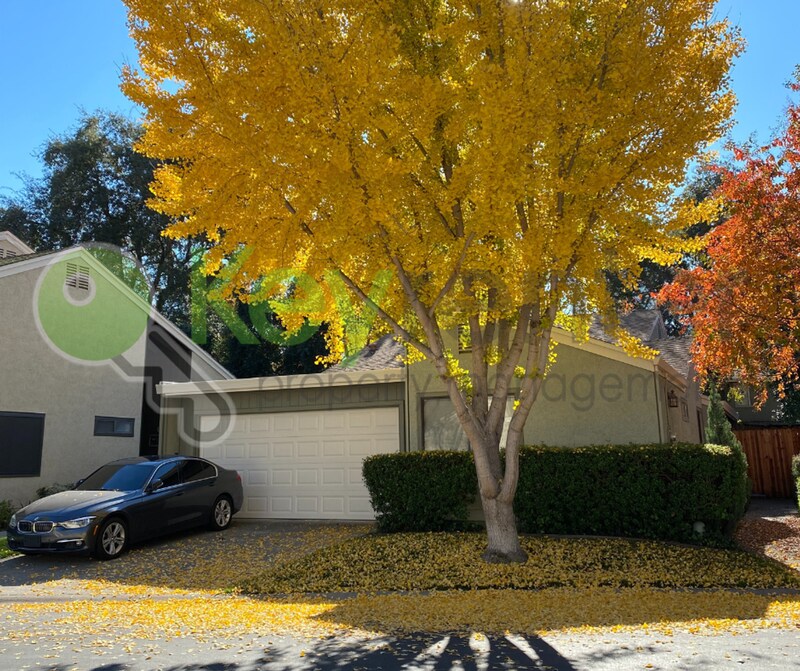 Primary Photo - 2692 Bradford Way