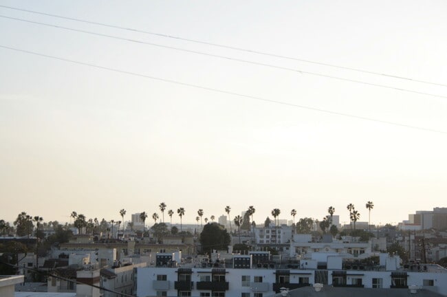 Azotea 2 - 1301 S Westgate Ave