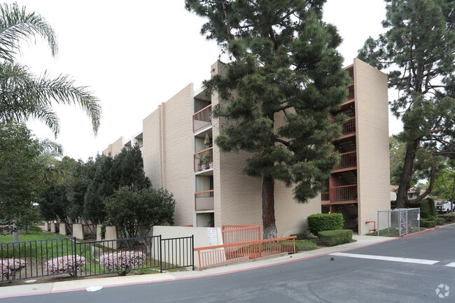Building Photo - Buena Vida Apartments