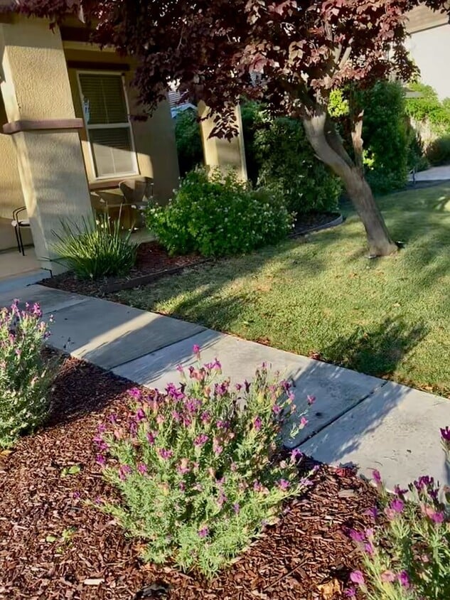 Primary Photo - Spacious 4-Bedroom Home in Woodland –Cul-d...