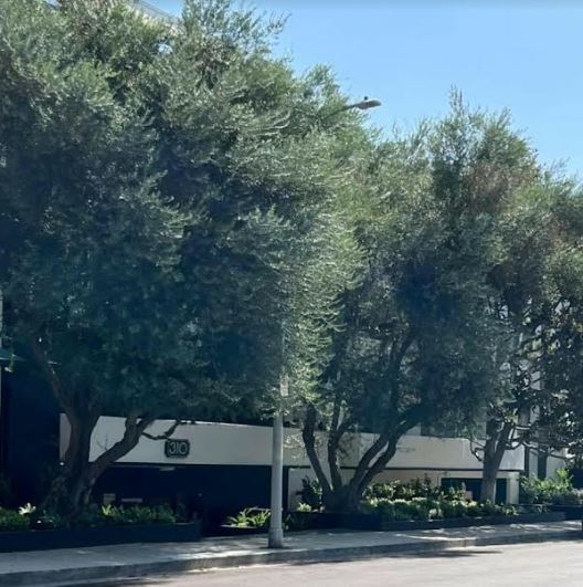 Foto del edificio - 310 S Almont Dr