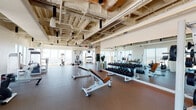 Located at 6390 De Longpre Ave in the heart of Hollywood, this high-rise fitness center offers a comprehensive and well-appointed workout facility with sweeping views of the Los Angeles cityscape. The space features an exposed industrial-style ceiling with visible ductwork and piping, lending an open, loft-like aesthetic that is complemented by floor-to-ceiling windows along multiple walls, flooding the space with abundant natural light.

The strength training area is generously equipped with a full rack of dumbbells, adjustable weight benches, and a variety of cable and resistance machines, all set against large floor-to-ceiling mirrors that enhance the sense of space. A dedicated cardio zone houses modern treadmills and cycling bikes positioned directly in front of expansive windows, allowing users to exercise while taking in sweeping views of the Los Angeles basin.

A separate functional training area features open floor space with rubber sport flooring, ideal for stretching, mat work, or dynamic exercises. Warm wood-paneled accent walls and herringbone-patterned flooring near the entry corridor add a refined design touch. Lush indoor plants are thoughtfully placed throughout, contributing to a fresh and inviting atmosphere. The overall layout is spacious, well-organized, and designed to support a full spectrum of fitness activities.