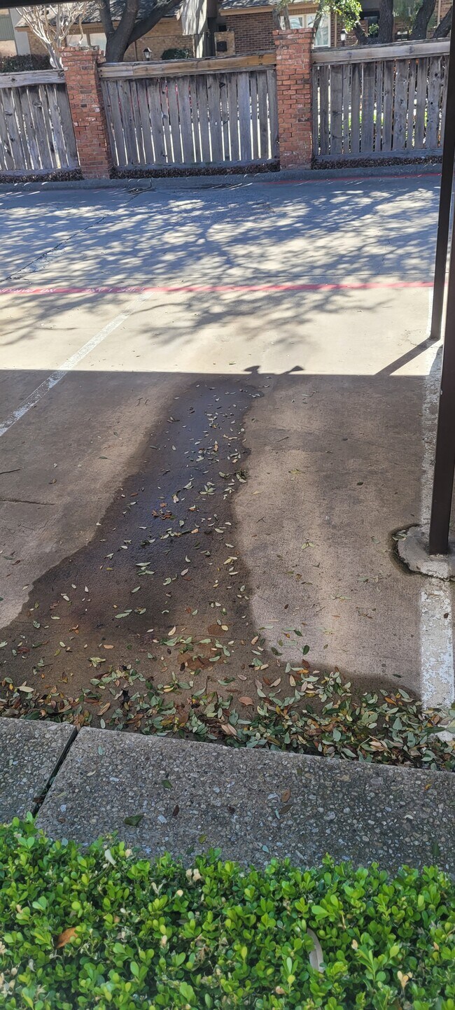 Building Photo - 12921 Abrams Rd