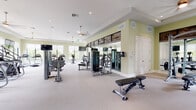 Located at 15616 SW 127th Ave in Miami, FL, this single-floor wellness center offers a comprehensive fitness environment designed to support a wide range of exercise routines. The space is organized into distinct functional zones, each outfitted with professional-grade equipment to accommodate both cardio and strength training.

The cardio area features a row of Matrix ellipticals and treadmills positioned along a bank of large windows that frame views of tropical palm trees and surrounding architecture, flooding the space with natural light. Ceiling fans suspended from tray ceilings enhance ventilation and contribute to the room's open, airy ambiance.

The strength training zone is equipped with multiple Matrix and TKO cable and selectorized machines, a rack of dumbbells, adjustable weight benches, kettlebells, a punching bag, a mini trampoline, and a wall-mounted storage system for weight plates. Full-length mirrors line the walls and are accented above by decorative reclaimed wood panels, adding a warm, textural contrast to the light sage-green walls and neutral carpeted flooring.

Overall, the wellness center presents a clean, well-maintained, and thoughtfully organized environment suitable for a full-body workout regimen.