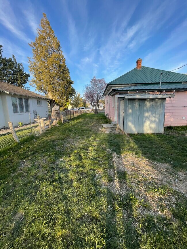 Side yard - 1234 Almo Ave
