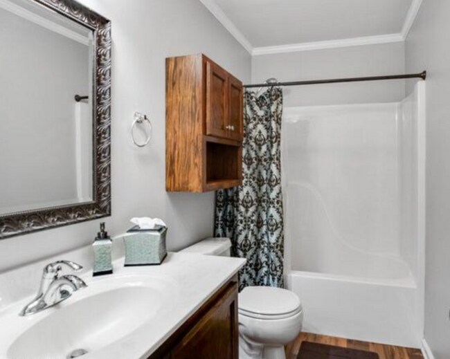 Building Photo - 3 Bed 2 Bath Rental