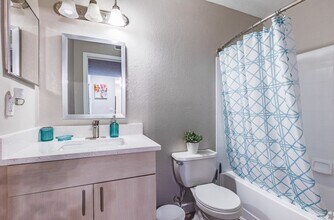 Interior Photo - Collington Apartments
