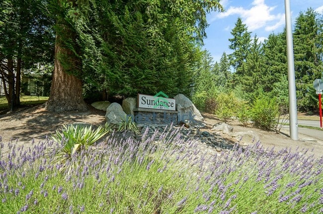 Building Photo - 1 Bed 1 Bath Condo for Rent in Sammamish!