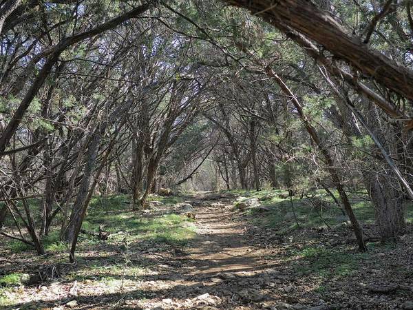 Reserva natural - Bridge at Sterling Springs