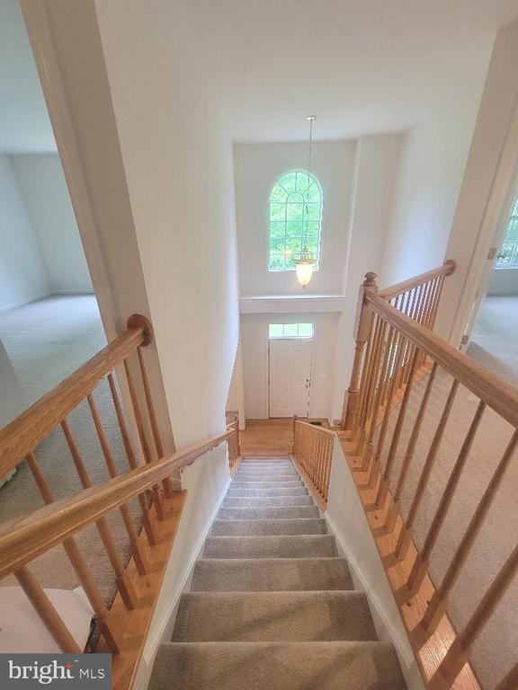 Foto del edificio - 440 Reedy Creek Rd