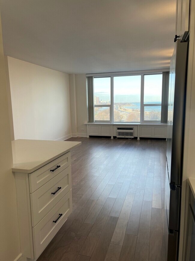 Foto del edificio - 1550 N Lake Shore Dr