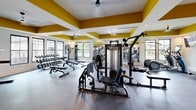 Located at 1215 Evolve Way in Greenville, NC, this fitness center offers a generously sized, single-floor layout designed to support a full range of workout routines. The space is defined by its bold, modern aesthetic — striking yellow ceiling accents contrast with crisp white coffered ceilings and neutral gray walls, creating an energetic and motivating atmosphere throughout.

The main exercise room is expansive and flooded with natural light through large black-framed windows that overlook outdoor greenery and a pool area. It features a comprehensive collection of strength and cardio equipment, including cable machines, weight benches, a dumbbell rack, treadmills, ellipticals, rowing machines, and a power rack. Full-length mirrors amplify the sense of space, while dramatic brushstroke murals on the walls add an artistic, high-energy touch. Ceiling fans and recessed lighting keep the environment comfortable.

A dedicated secondary exercise room provides a more intimate setting, housing cycling bikes, medicine balls, kettlebells, and freestanding punching bags alongside a large wall mirror and flatscreen display — ideal for group or functional training.

The connecting hallways feature warm hardwood flooring, two-tone painted walls, and stylish black-framed glass French doors that transition seamlessly into adjacent community amenity spaces, completing this thoughtfully designed fitness facility.