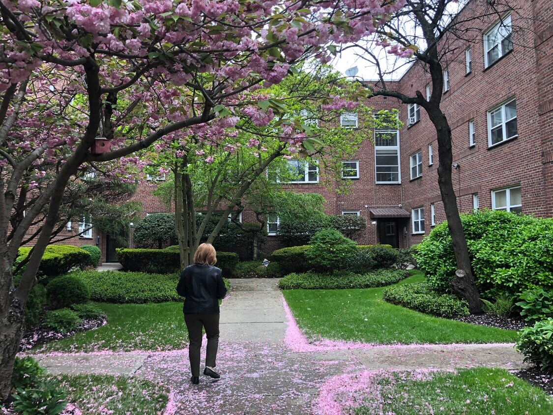 Foto principal - 40 Glenwood Ave