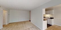 This single-floor residence offers a well-organized layout designed for comfortable everyday living. The galley-style kitchen is a functional highlight, featuring white cabinetry with raised-panel detailing, dark countertops, white appliances including a gas range and refrigerator, dark hardwood-style flooring, and track lighting overhead. Notably, an in-unit washer is integrated directly into the kitchen, adding everyday convenience. The kitchen opens toward a casual dining or pass-through area, connecting seamlessly to the main living space.

The living room is generously proportioned, finished with plush wall-to-wall carpeting and neutral tones throughout. A wide sliding glass door fitted with vertical blinds floods the space with natural light and provides views of lush greenery outside, creating a serene indoor-outdoor connection.

The bedrooms are carpeted and bright, each featuring wide windows that frame views of surrounding trees, offering a peaceful, nature-connected atmosphere. Ample closet space is visible in the bedroom areas.

The bathroom is clean and classic, with a full tub-shower combination, white tile surround, chrome fixtures, and dark tile flooring that adds a contemporary contrast. Clean white walls and crisp trim carry throughout the entire residence, giving the space a fresh, move-in-ready feel.