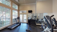 This fitness center in Lewisville is a well-appointed, single-floor exercise space designed to support a comprehensive workout experience. The room features soaring ceilings accented with crown molding, lending an open and airy atmosphere throughout. Large windows along one wall flood the space with abundant natural light, offering views of the surrounding greenery, while a set of French doors provides direct access to the outdoors.

The facility is equipped with a selection of cardio machines, including treadmills and stationary bikes, positioned to take advantage of the natural light and outdoor views. A dedicated free weight station offers a full rack of dumbbells, catering to strength training needs. Floor-to-ceiling mirrors line one wall, enhancing the sense of space and allowing users to monitor their form during workouts. A wall-mounted flat-screen television is conveniently positioned for entertainment during exercise sessions. The dark, rubberized flooring provides both durability and safety underfoot. Overall, the space combines functional fitness amenities with an inviting, well-lit environment that encourages an active lifestyle.