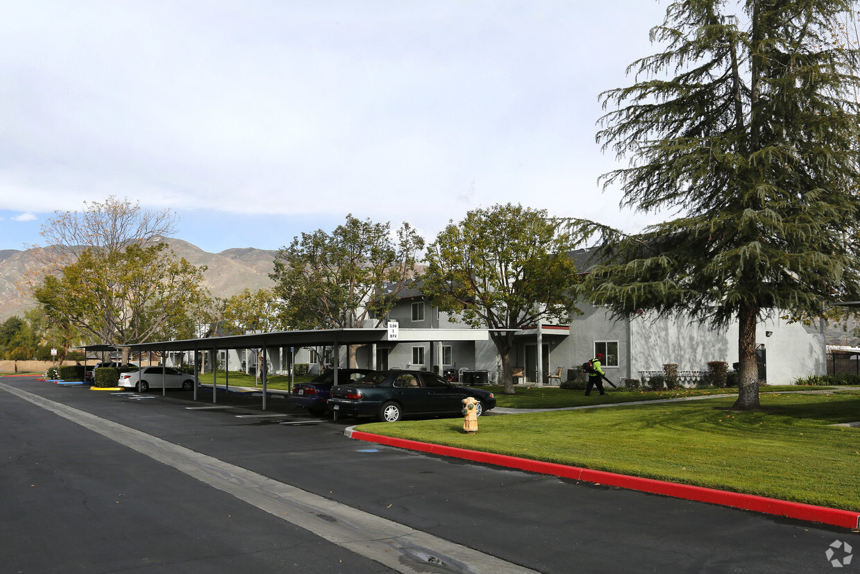 Primary Photo - San Jacinto Senior Apartments