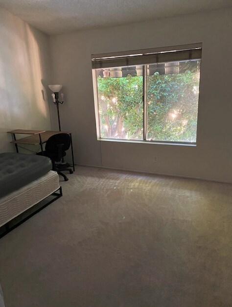 Foto del edificio - 103 Stanford Ct