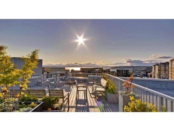 Rooftop Deck - 81 Clay St