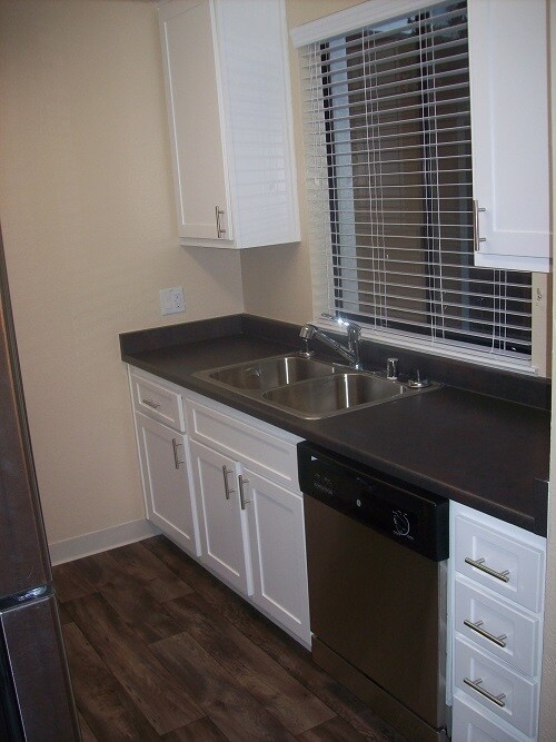 Large 8" deep double sink with sprayer - 34081 Westchester Ter