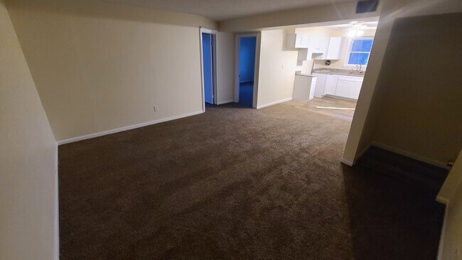 Living Room - 1133 Randall Ave