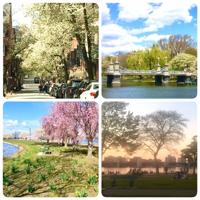 Photo - 40 Revere St Apartment