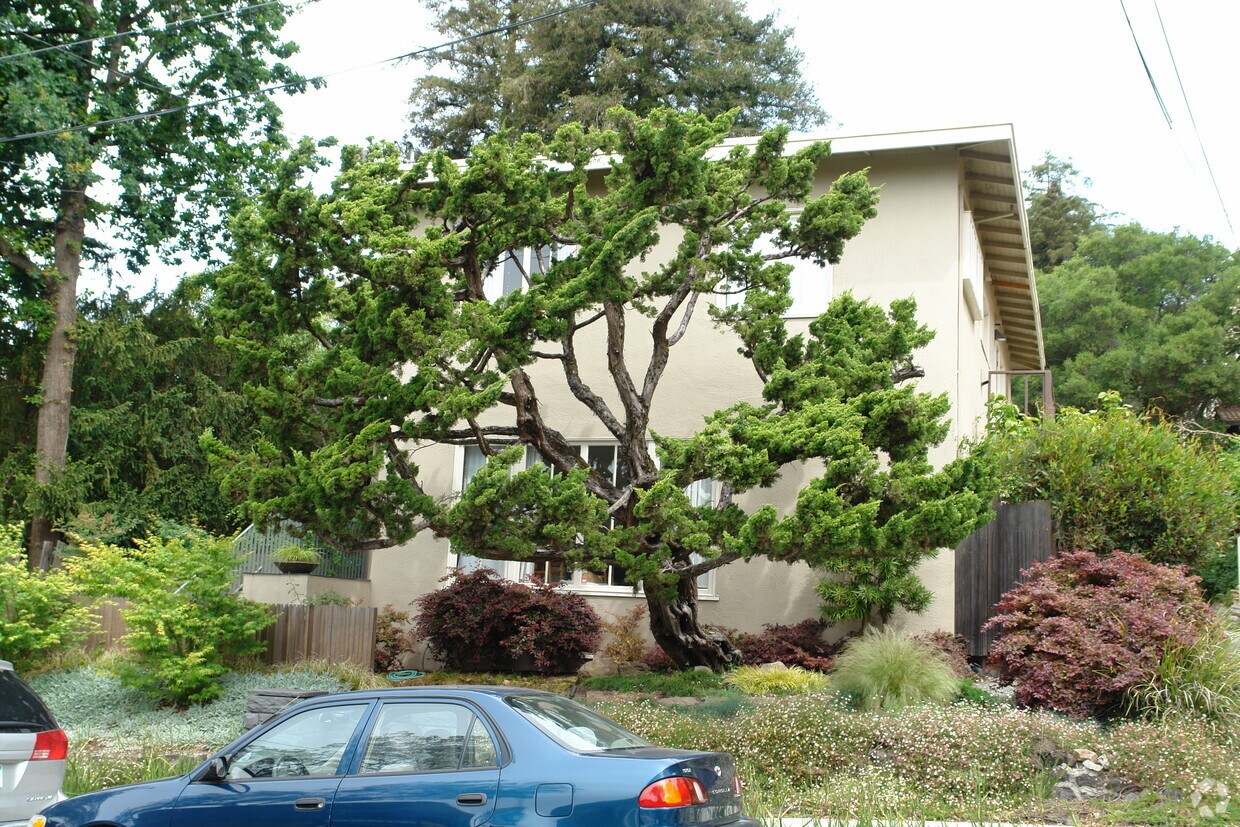 Building Photo - 2639 Cedar St