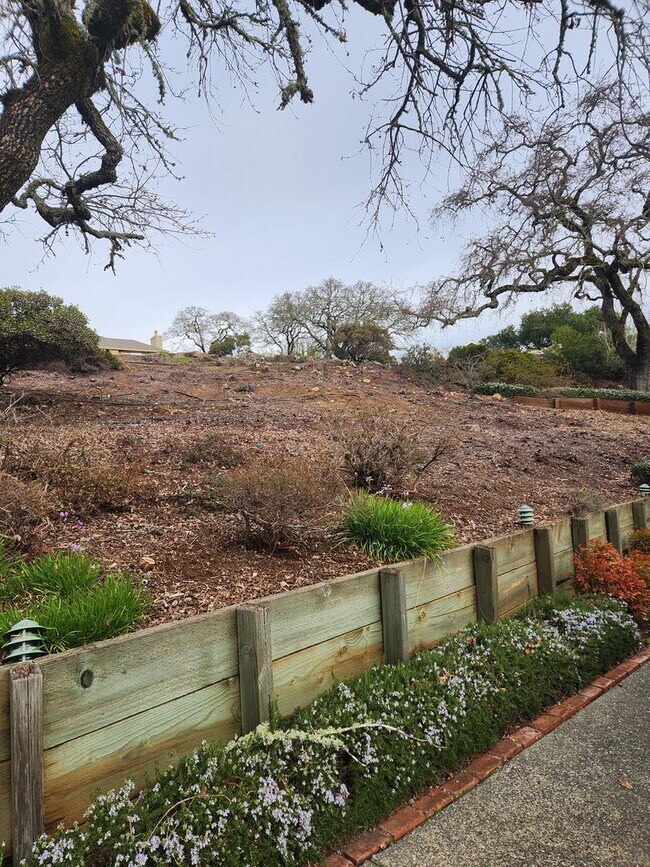Foto del edificio - "Must See" House in Oakmont w/beautiful vi...