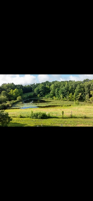 Foto del edificio - 113 State Park Rd