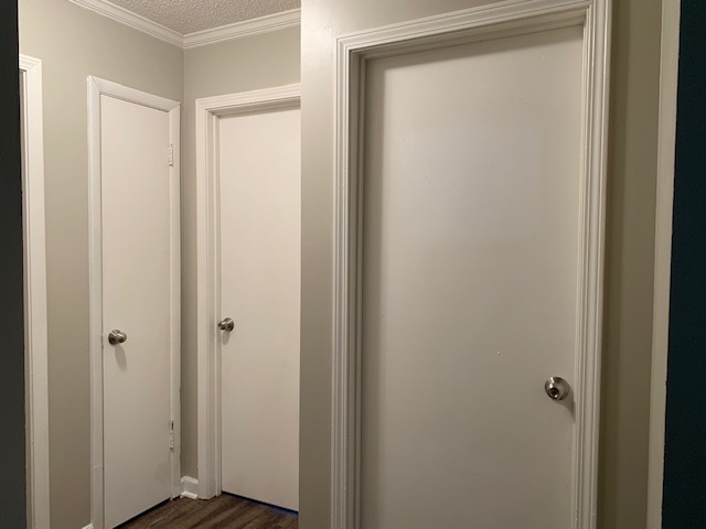 Building Photo - Newly Renovated Duplex in FIVE POINTS!!