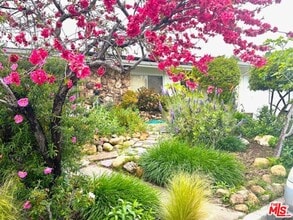 Building Photo - 1939 Westridge Terrace