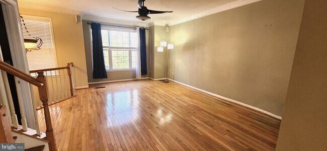 Foto del edificio - 223 Wintergull Ln