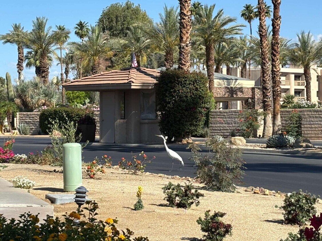 Indian Wells CC For Rent! - Indian Wells CC  For Rent!