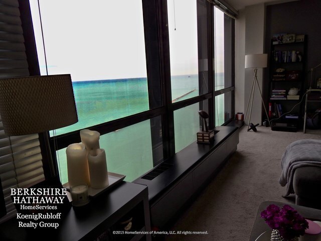 Foto del edificio - 900 N Lake Shore Dr