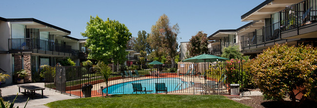 Pool view - La Palma Apartments