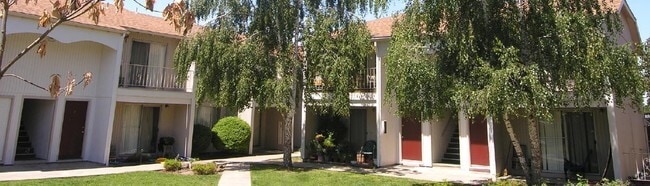 Building Photo - Pine Tree Lane Apartments