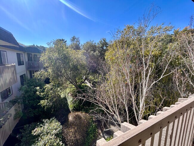 Foto del edificio - 7346 Shelter Creek Ln