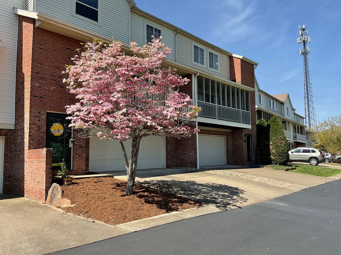 Primary Photo - 2 BEDROOM CONDO - ALL UTILITIES PAID