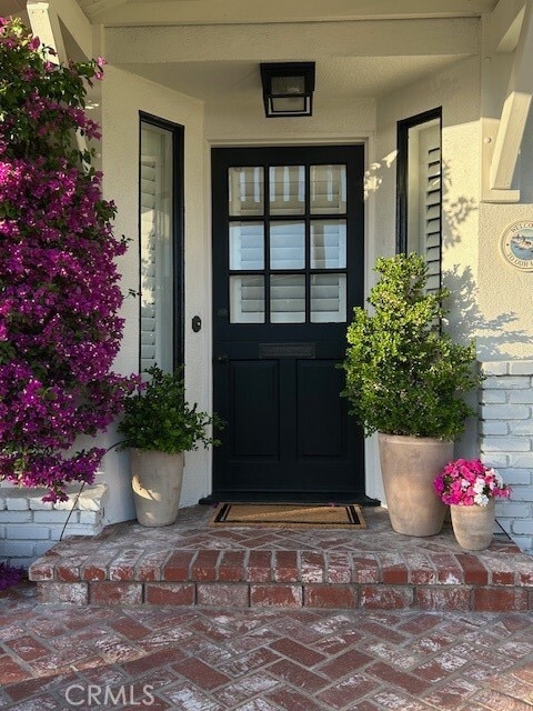 Foto del edificio - 449 Seaward Rd