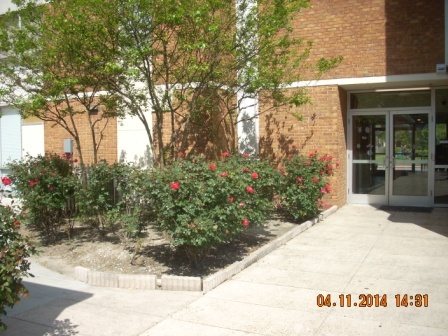 Bay Tower Apartments Enterance - 1203 Market St