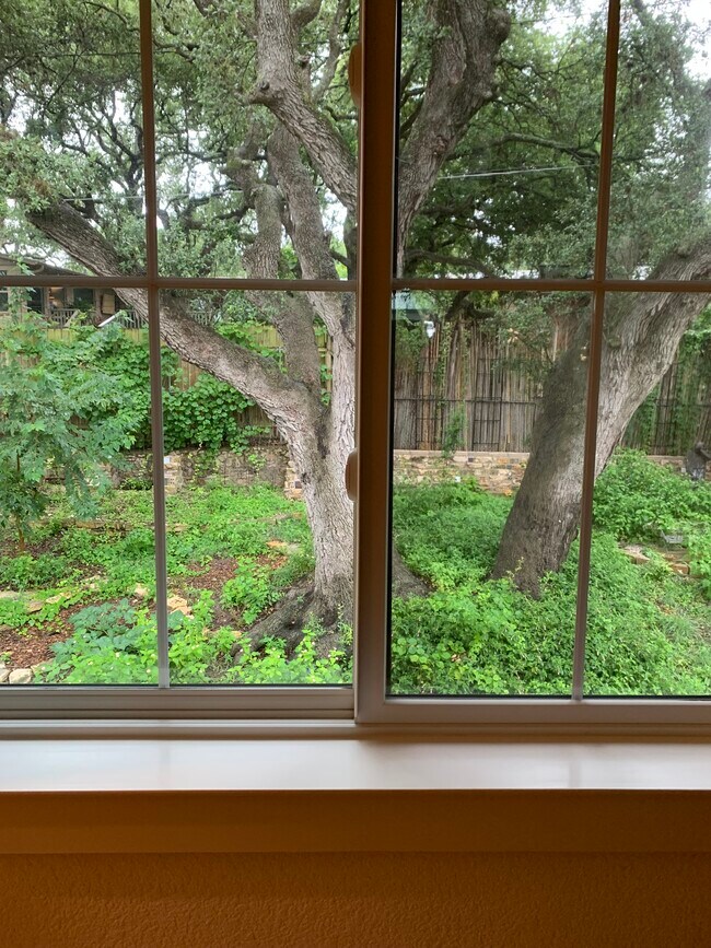 Foto del edificio - 509 E Live Oak St