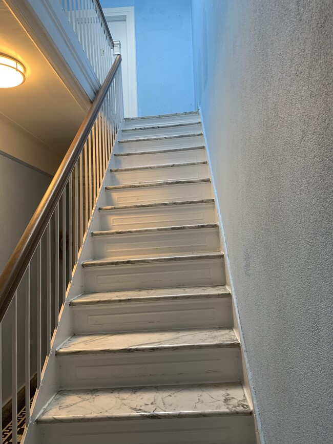 Entrance Stairs - 4391 Martha Ave