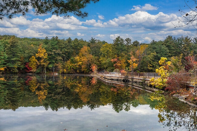 Enjoy a walk along the scenic lakes and rivers.